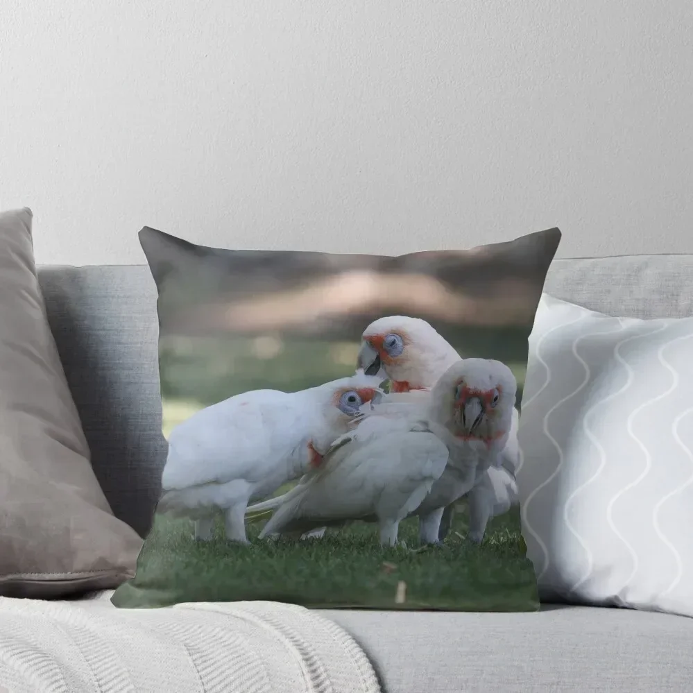 

Scritch Scratch Trio Throw Pillow luxury decor Decorative Cushion Cover Christmas s Covers christmas decorations 2025 pillow