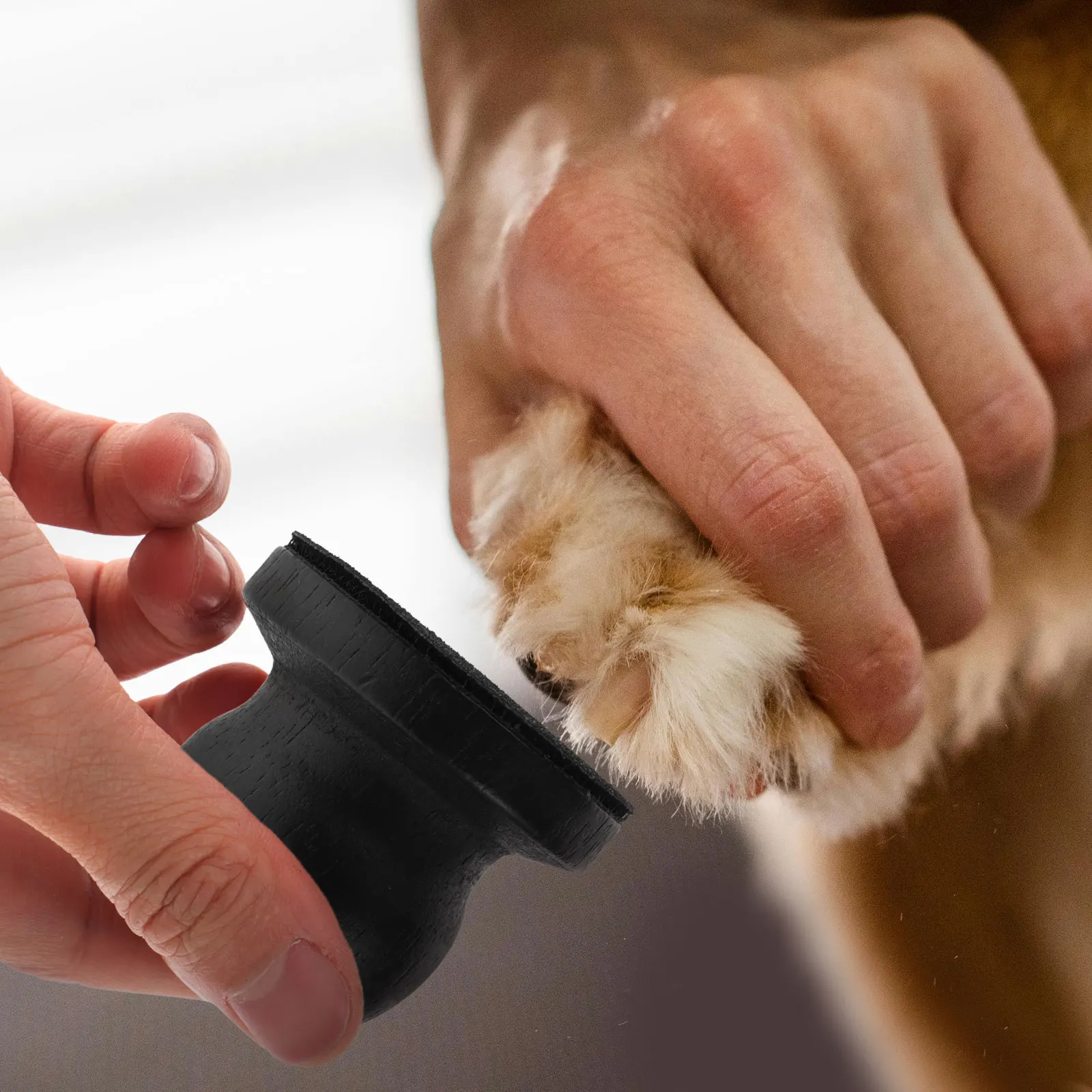 

Round Dog Scratching Board Handheld Solid Wood Pet Nail File Safe Trimming Tool Portable Puppy Nail Grinder Wooden Handle Filing