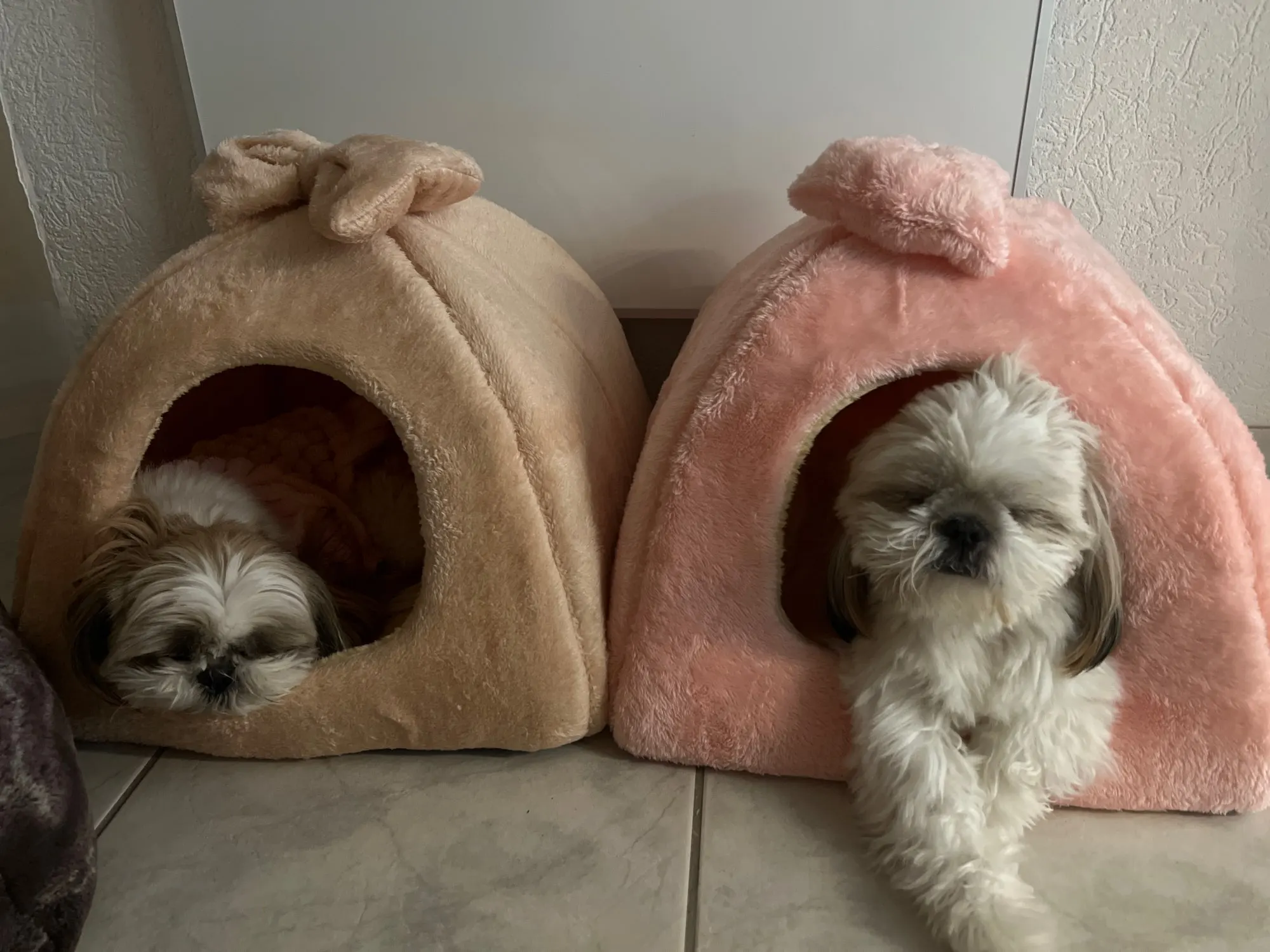Winter Warme Haustier Hund Haus Katze Bett Matte Abnehmbare Zwinger Nest Haustier Korb Weiche Bequeme Kätzchen Schlafen Haustier Nest Katzen Produkt – Detail 10