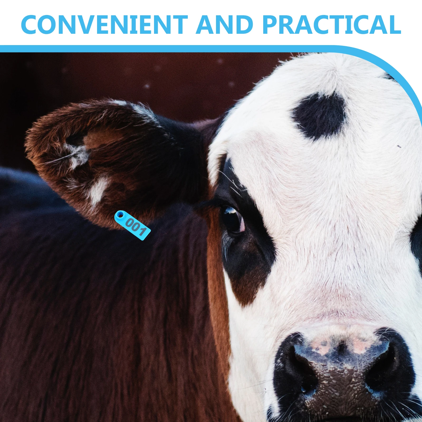 100 قطعة علامات أذن البقرة مرقمة واضحة علامات الأذن الماشية للحيوانات على الماشية الأغنام الماعز مزرعة استخدام مجموعة أدوات أساسية