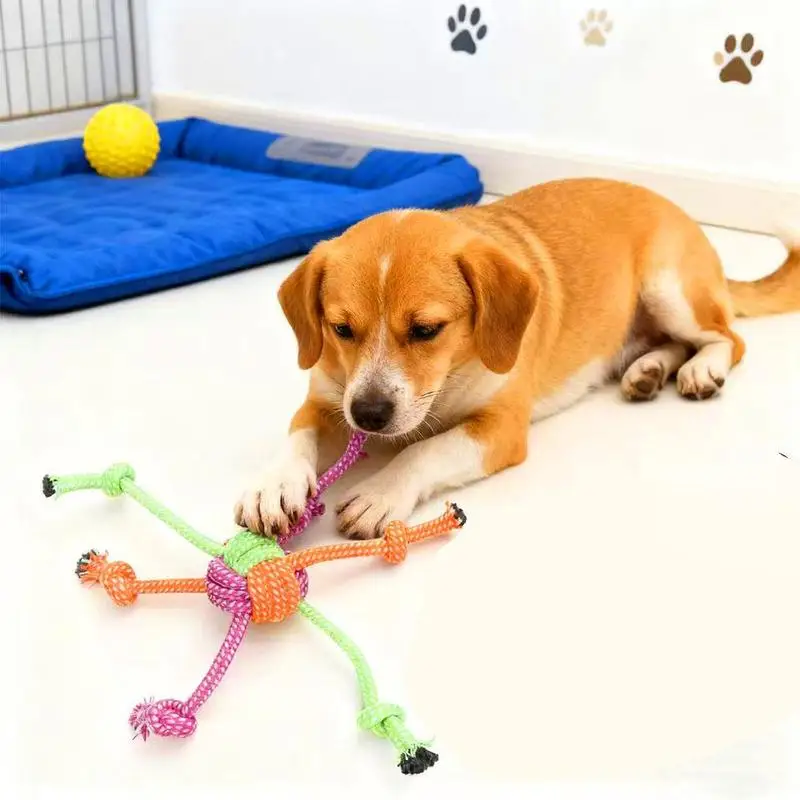 Langlebiges Bissfestes Interaktives Knotenspielzeug für Hunde - Kaubares Seil mit Grünen & Orangen Fransen, Verspieltes Design, Hundespielzeug – Detail 5