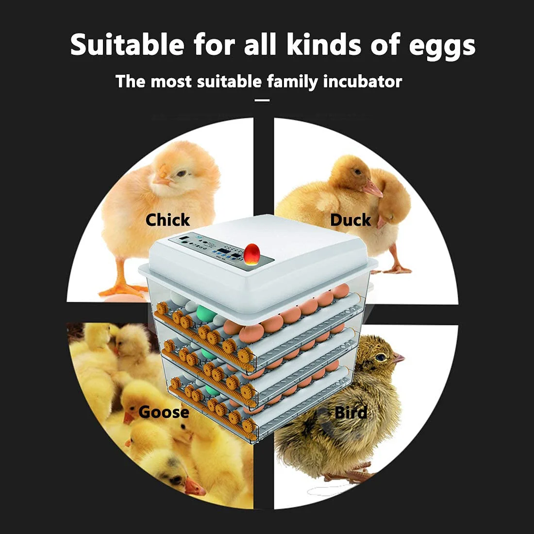 256 Automatic Incubator Smart Temperature Humidity Controller Digital Poultry Hatching Machine