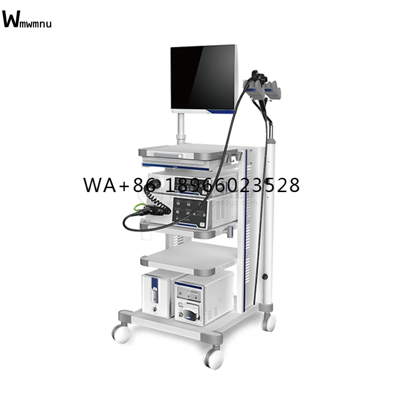 SY-P006-1 upper and lower GI Gastroscopy and ColonoscopyEndoscope System