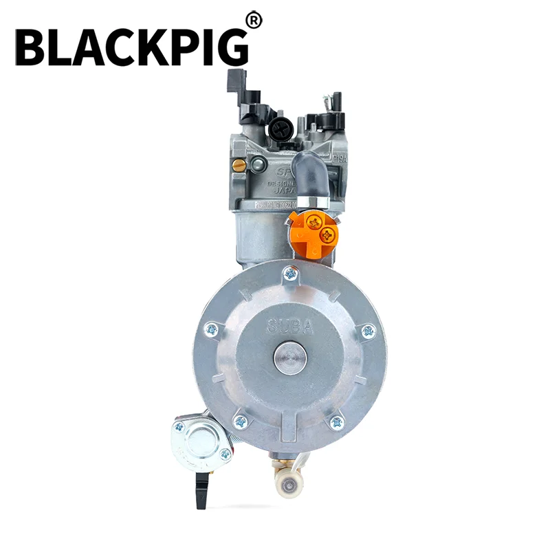 GX200 168F 170F Generator LPG Carburetor Dual Fuel NG Conversion Kit Gasolina Generator Parts 2KW 3KW 6.5HP EC2500 P19A-LPG