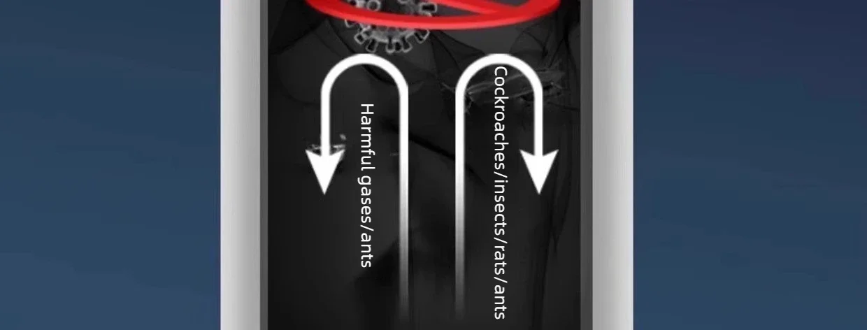 Edelstahl-Filter-Waschbecken-Abflussstopfen, auslaufsicher, für Badezimmer, Küche, Waschbecken, Bodenablauf, ausgestattet mit Kupferkern-Rücklaufventil. – Detail 13