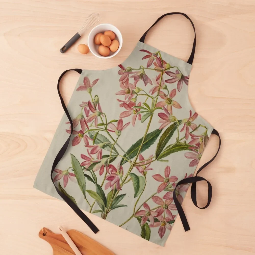 

Saxifragacae. (rockfoils) Apron Children'S kitchen utensil Kitchen And Household Goods Apron