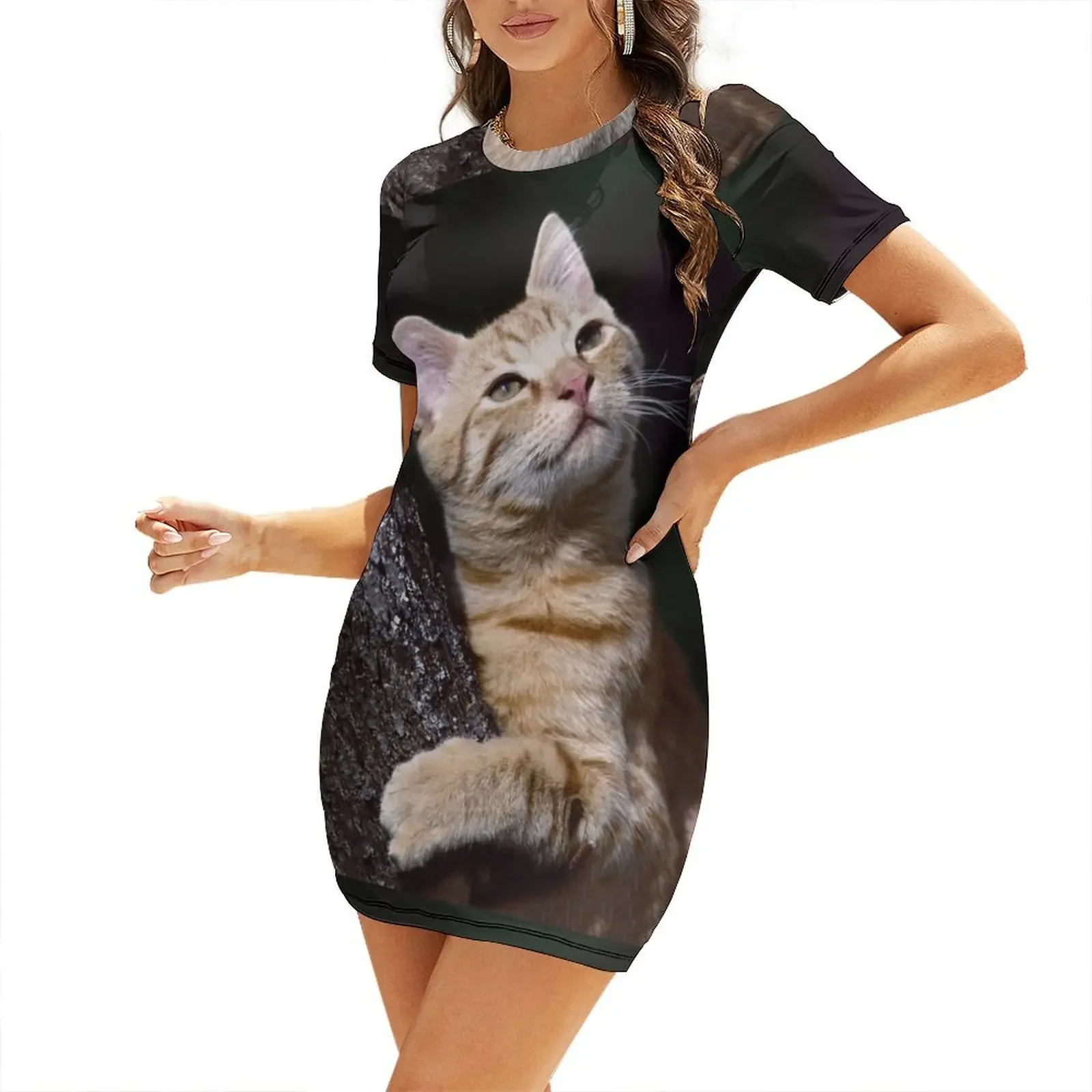 R34 / Finition 2023…