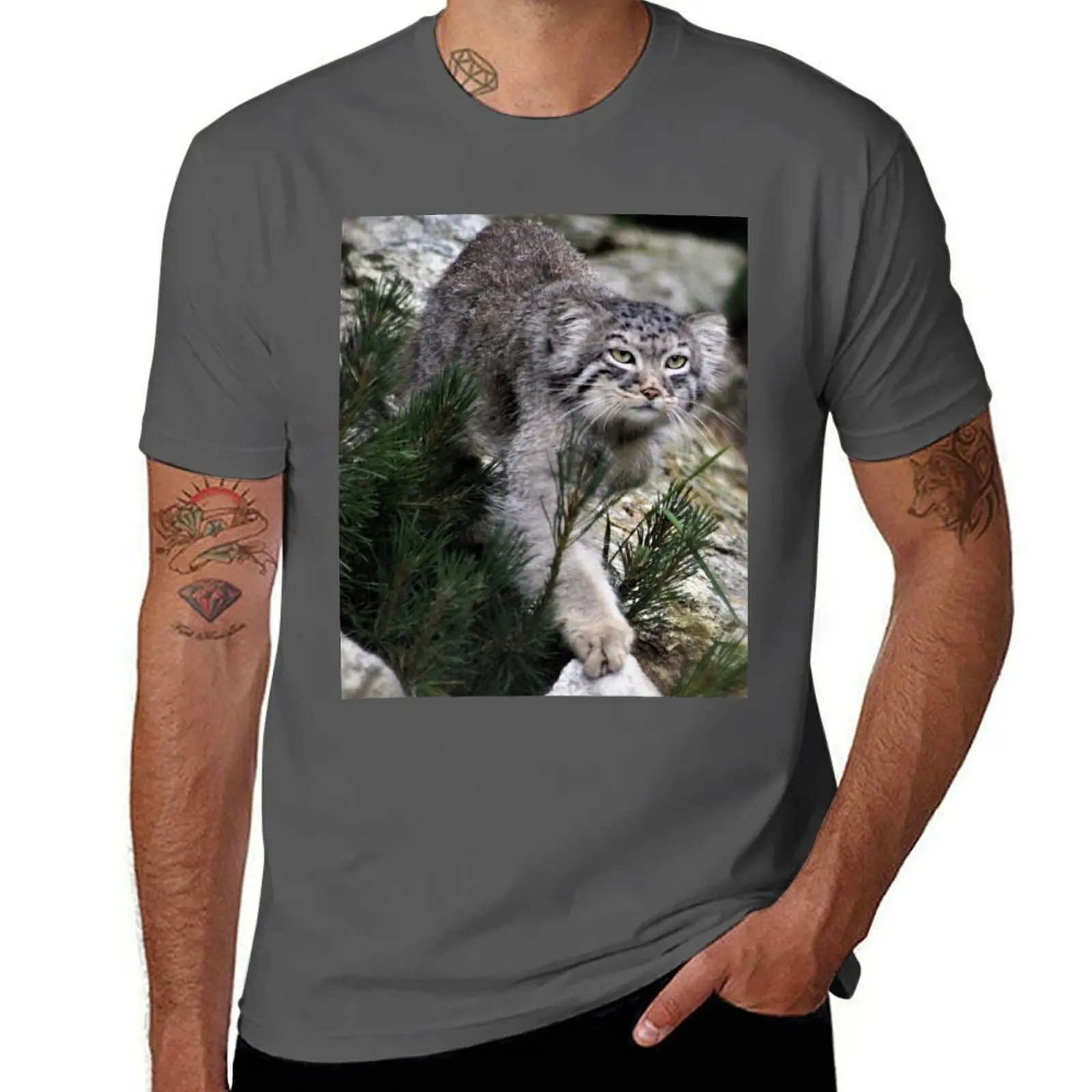 

Cat Prowl Pallas T-Shirt Plus Size Summer Casual T-Shirt