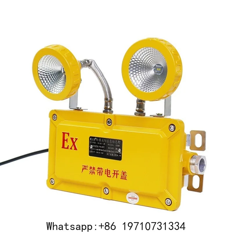 

LED explosion-proof emergency light, safety exit evacuation indicator light, fire emergency passage, yellow double headed
