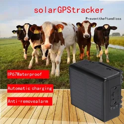 Custom logo waterproof solar powered cattle GPS tracker for farm Cow Horse Camel Sheep Goat and Wild animals RYDV24(2G)