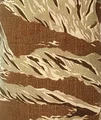 Golden Tiger Spot