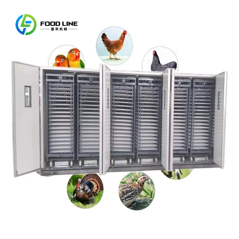 High Hatching Rate CE Approved 33792 Eggs Automatic Chicken Incubator Customized Poultry Egg Incubator