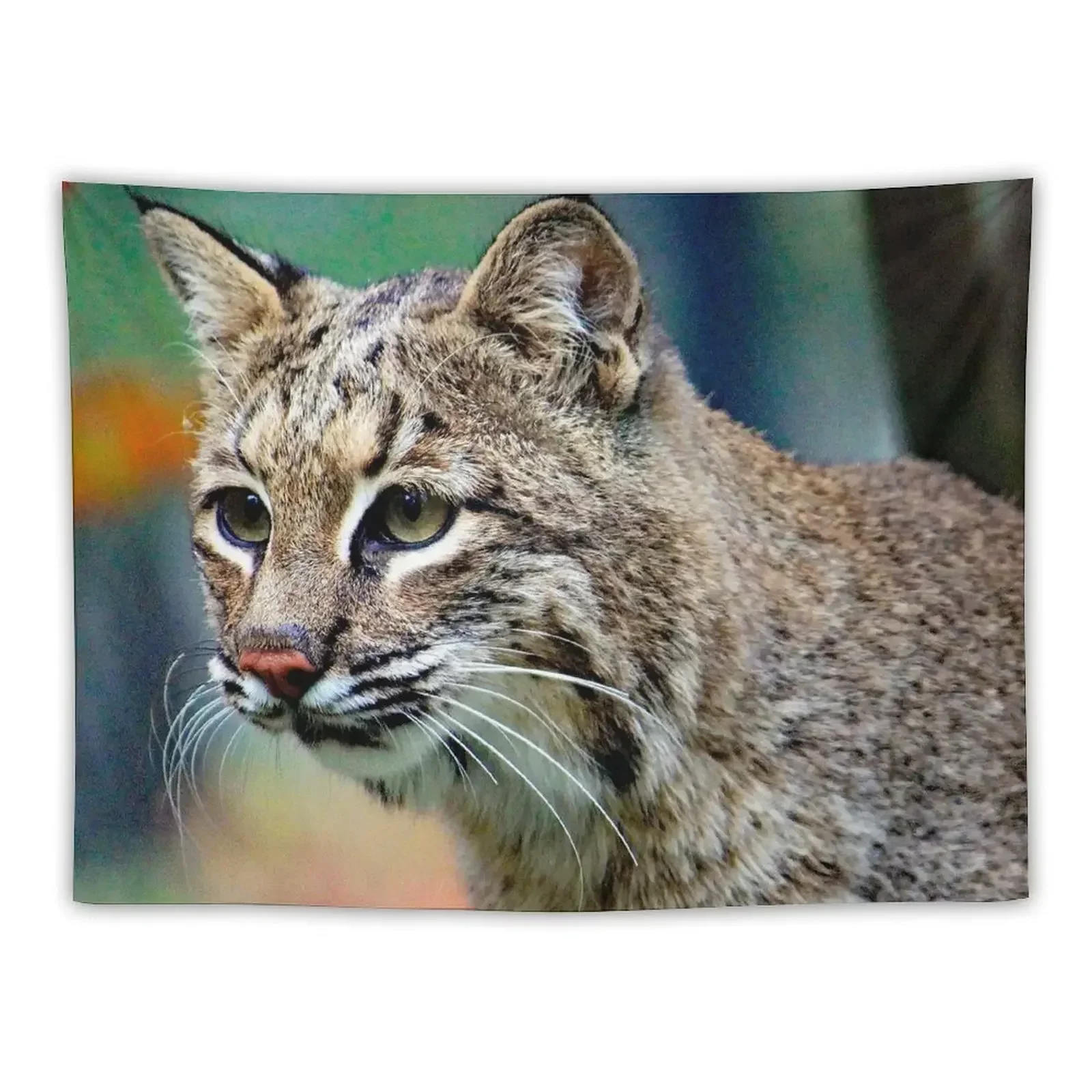 Bobcat Tapestry Living Room Decoration Bedroom Decor Aesthetic Decoration Wall Tapestry