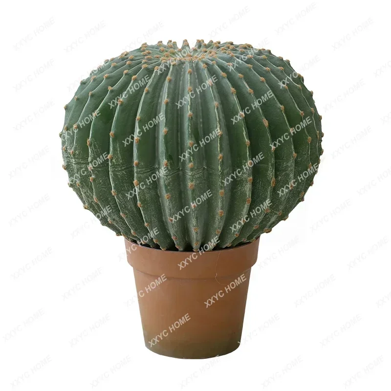 Simulation plant, cactus landscaping quantity, ruler, cactus, cactus, potted plant, indoor green plant