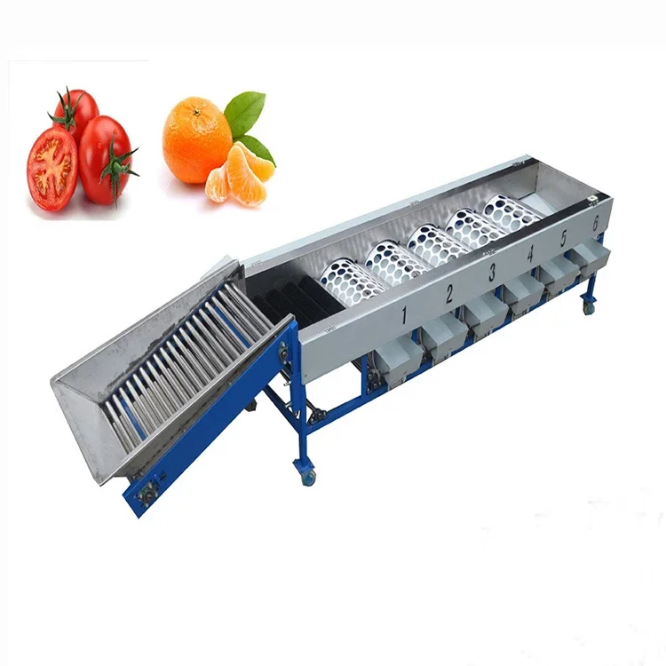 OC-FJ6 Industrial Orange Mango Apple Avocado Fresh Lemon Citrus Fruit Grading Grading Machine Washing Sorter