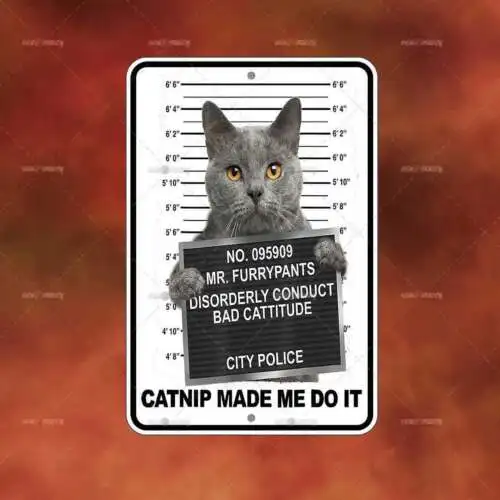 Catnip Made Me Do It Metal Sign Cat Home room wall art gift decor funny B1645