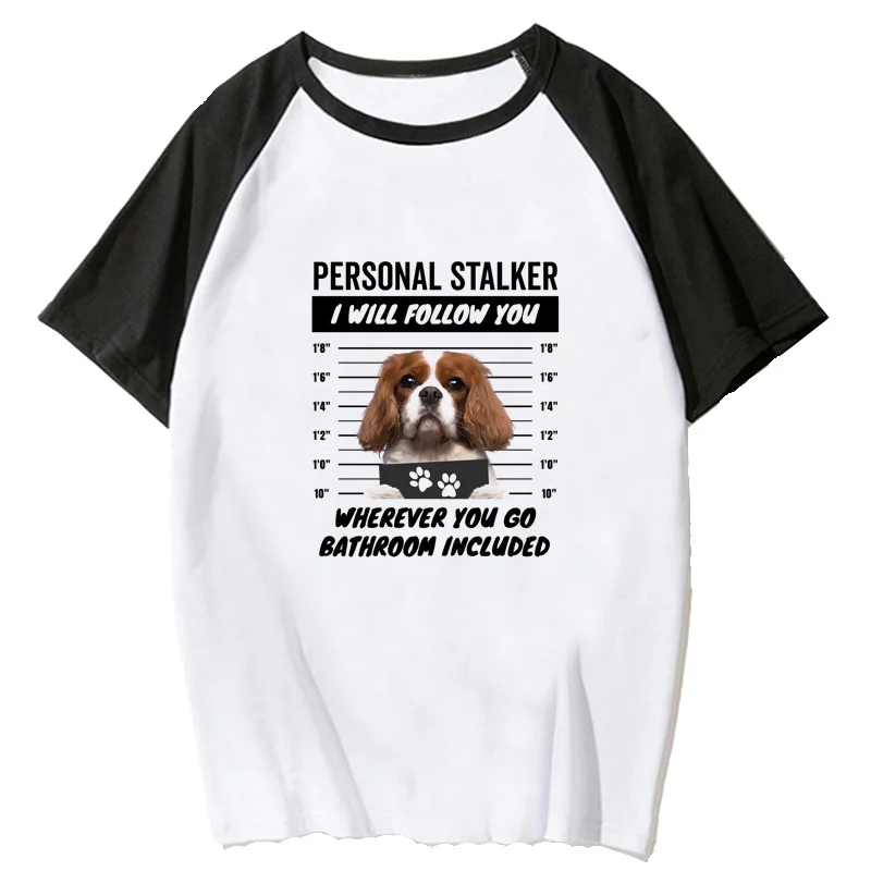 Cavalier King Charles Spaniel tshirt clothes women y2k clothes harajuku ulzzang grunge kawaii clothes white t shirt tumblr