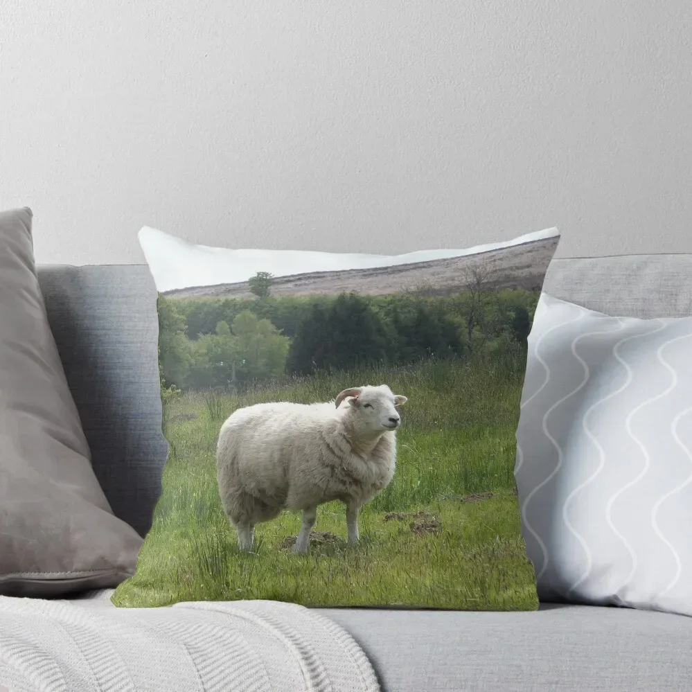 

Sheep Throw Pillow Decorative pillow case Pillow Decor Pillowcases Cushion Covers Sofa christmas pillowcases