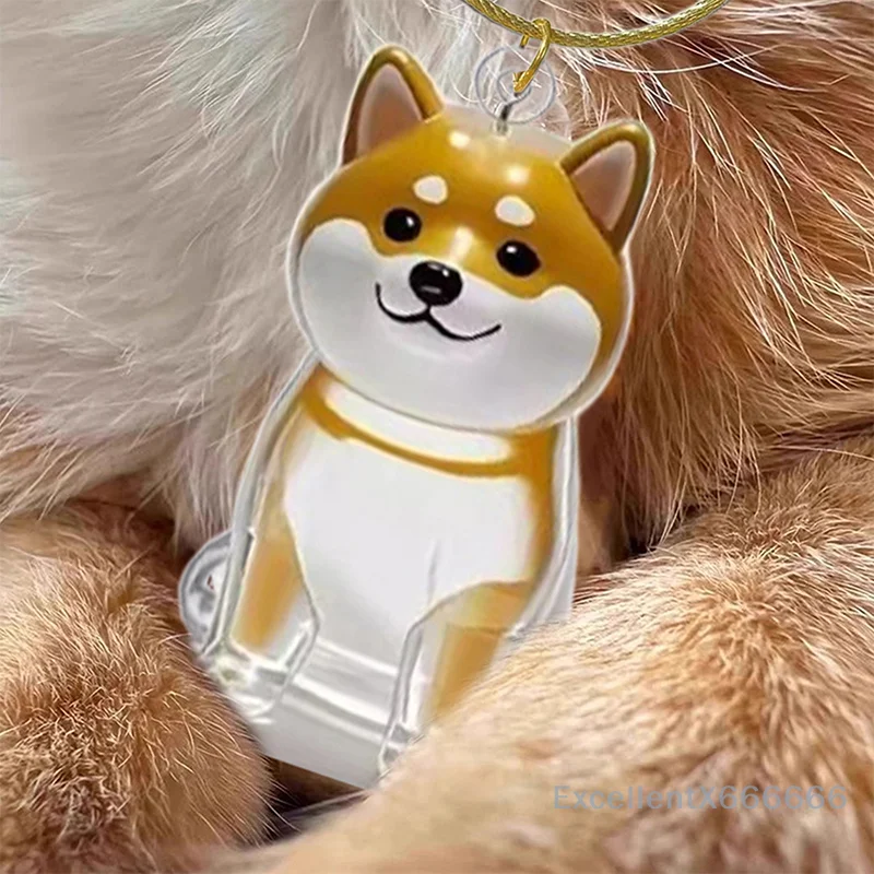 

Clear Puppy Hair Memorial Keepsake Capsule Pet Dog Fur Container DIY Pendant Keychain for Pet Lovers Home Decor & Display