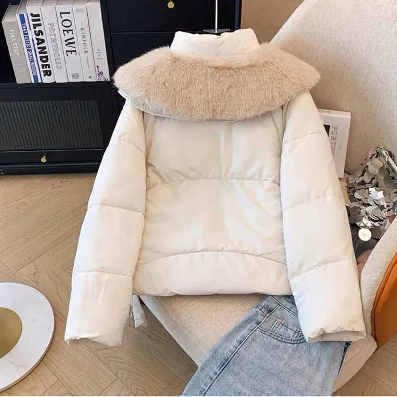 2025 Winter New Down Short Padded Jacket Women Parkas Fur Collar Thick Cotton Coats Clothes Black Brown Casual Outerwear Female