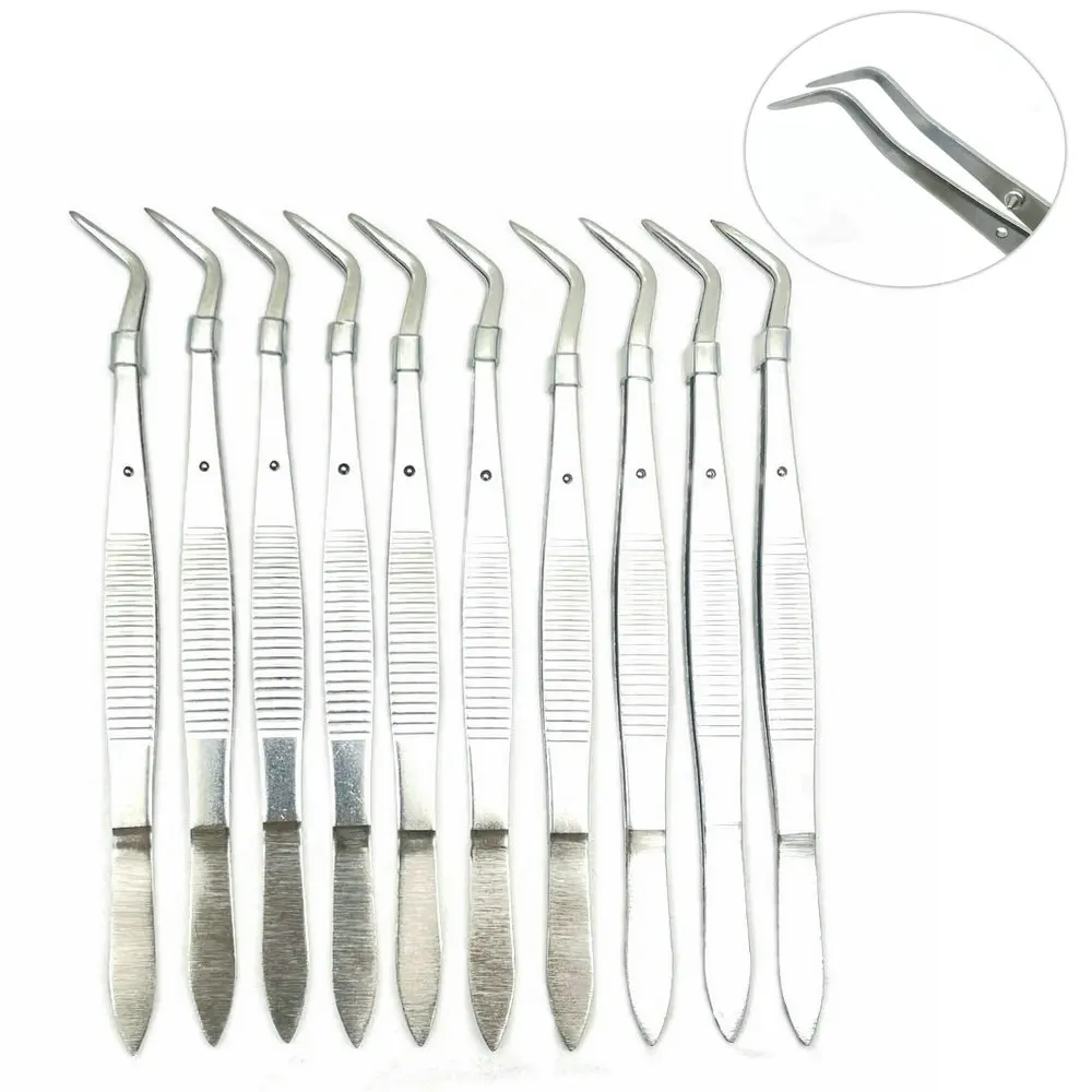 

10pcs Stainless Steel Dental Forceps Dental Twezzers Dental Mouth Mirror Teeth Probe Dental Instrument Tooth Examination Tools