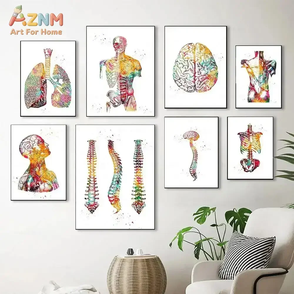 AZNM Watercolor Human Anatomy Canvas Wall Art Brain Lung Spine Torso Skeleton Colorful Medical Art Print Doctor Office Clinic St