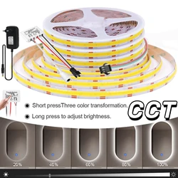 CCT COB LED Strip Light With 15keys RF Wireless Remote Controller RA90 Dimmable Adjust Brightness WW+CW Dual Color Linear Tape