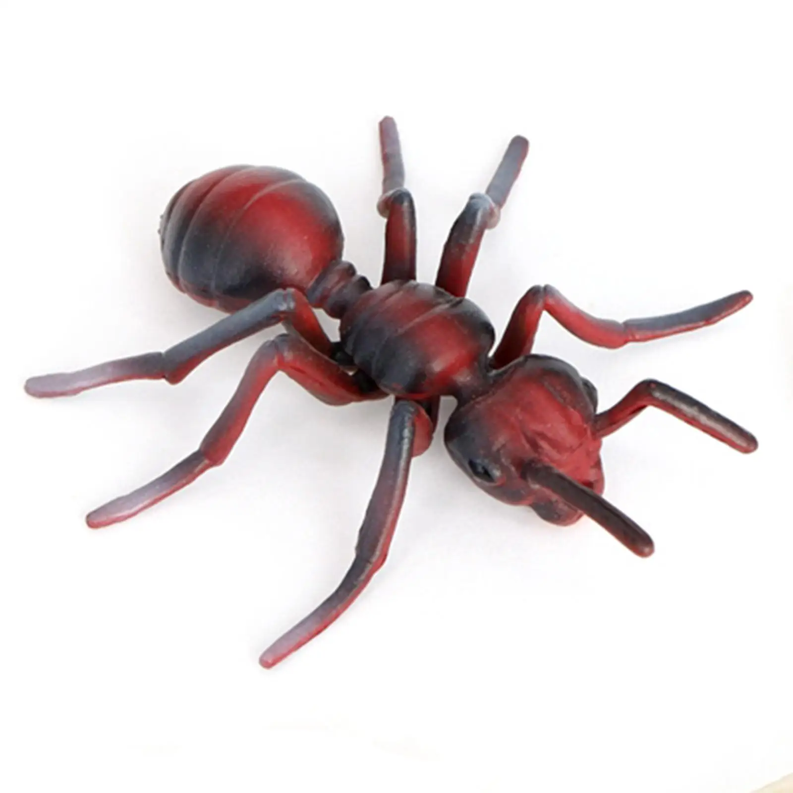 Kids Ant Life Cycle Stages Simulation Animal Model PVC Educational Toy Figures for Classroom Teaching Learning Activity