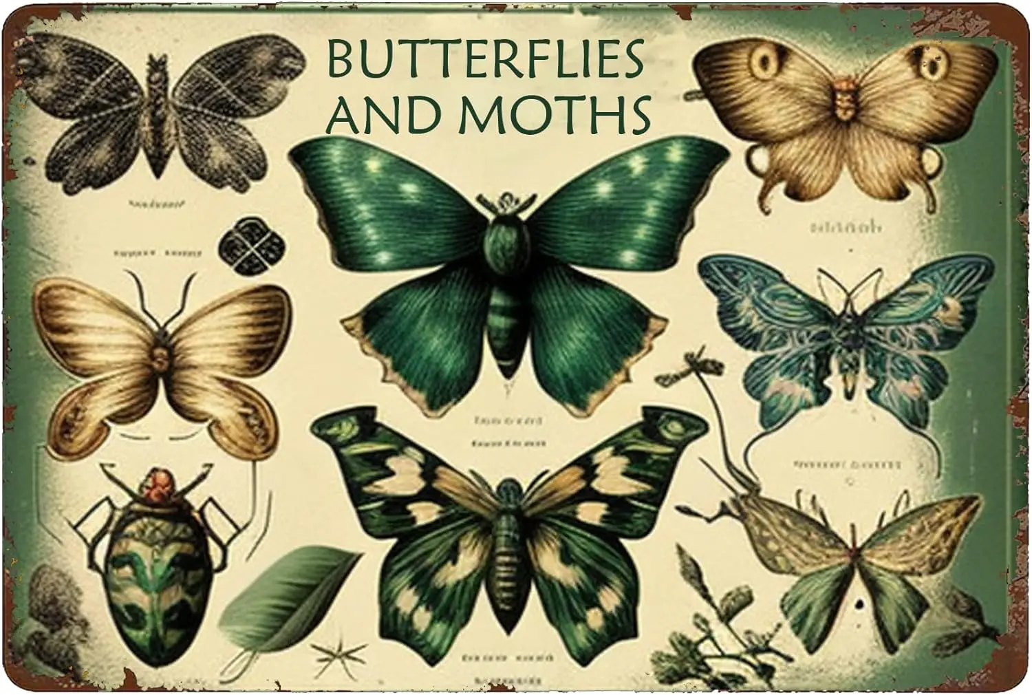 Butterflies And Moths Retro Signs Indoor Indigenous Motifs Butterfly Room Decor Depictions Of Animals Funny Chalkboard