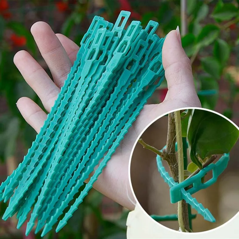 600pcs Adjustable Plastic Plant Cable Ties Reusable Self-locking Ties Garden Plant Vine Supports Cable Ties Stem Tomato Fastener