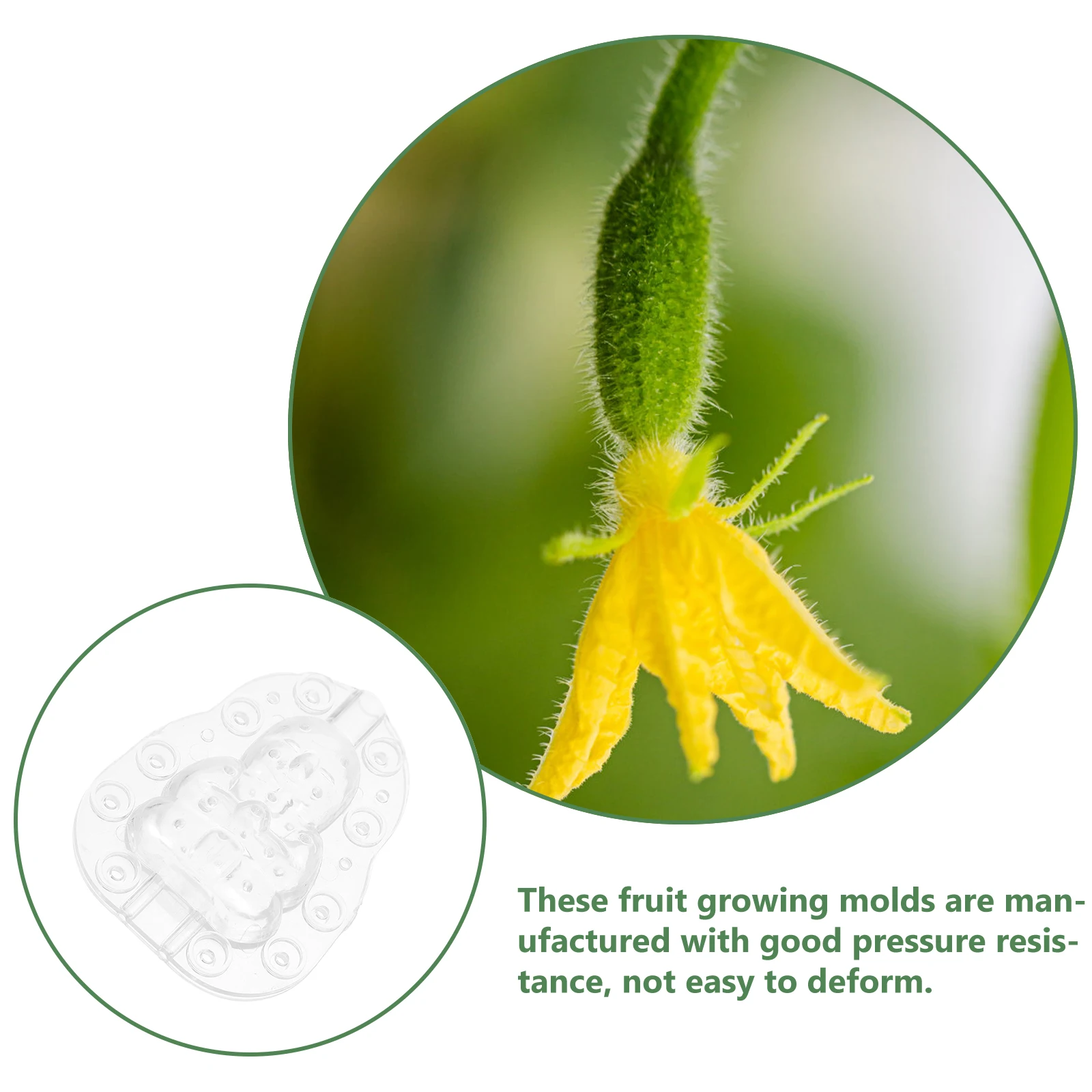 

3 Pcs Buddha Baby Fruit Growing Mold 8cm Ginseng Shape Melon Shaping Reusable Plastic DIY Gardening Molds For Special Fruits
