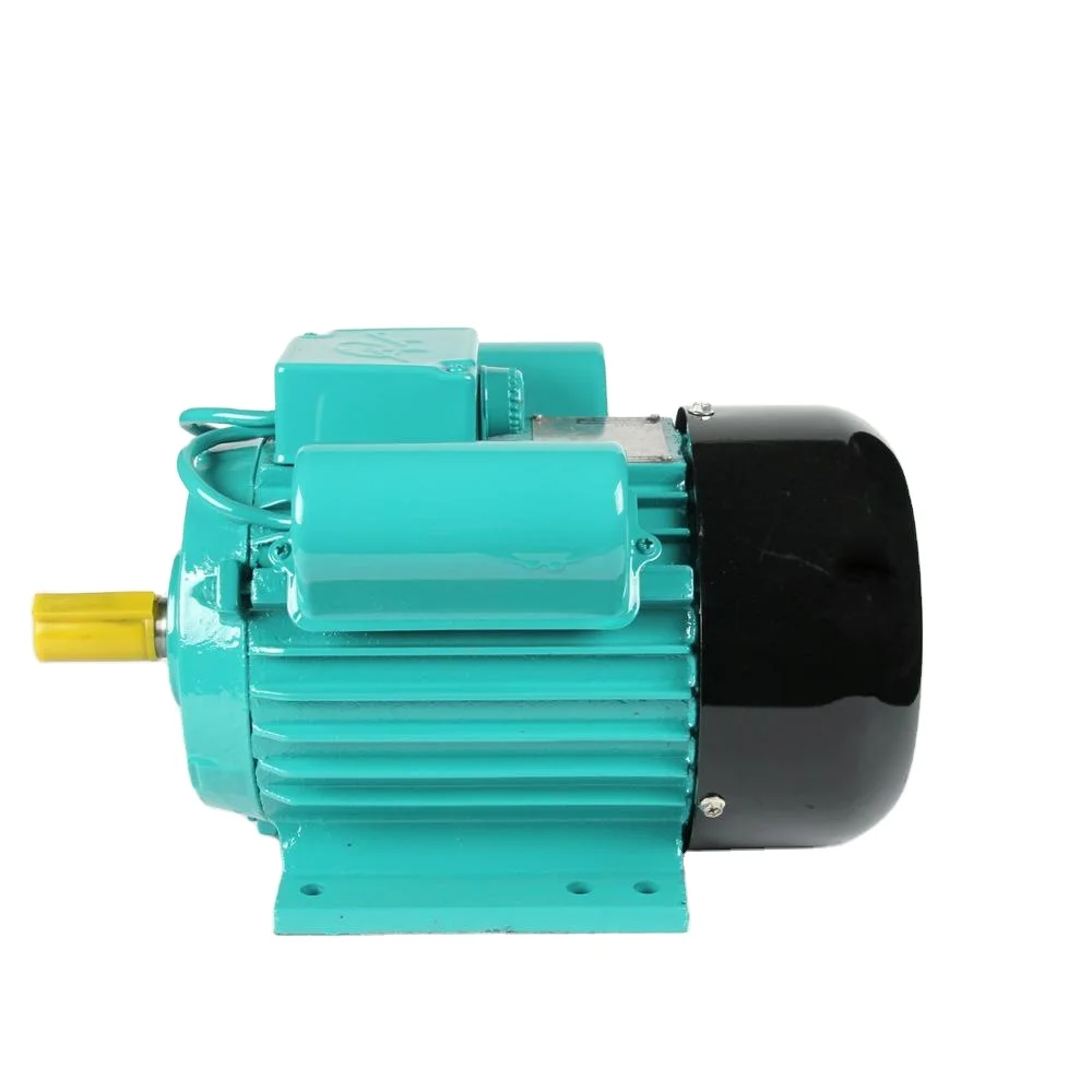 Electric Motor IP54/55 220 Volt Ac Electric Motor