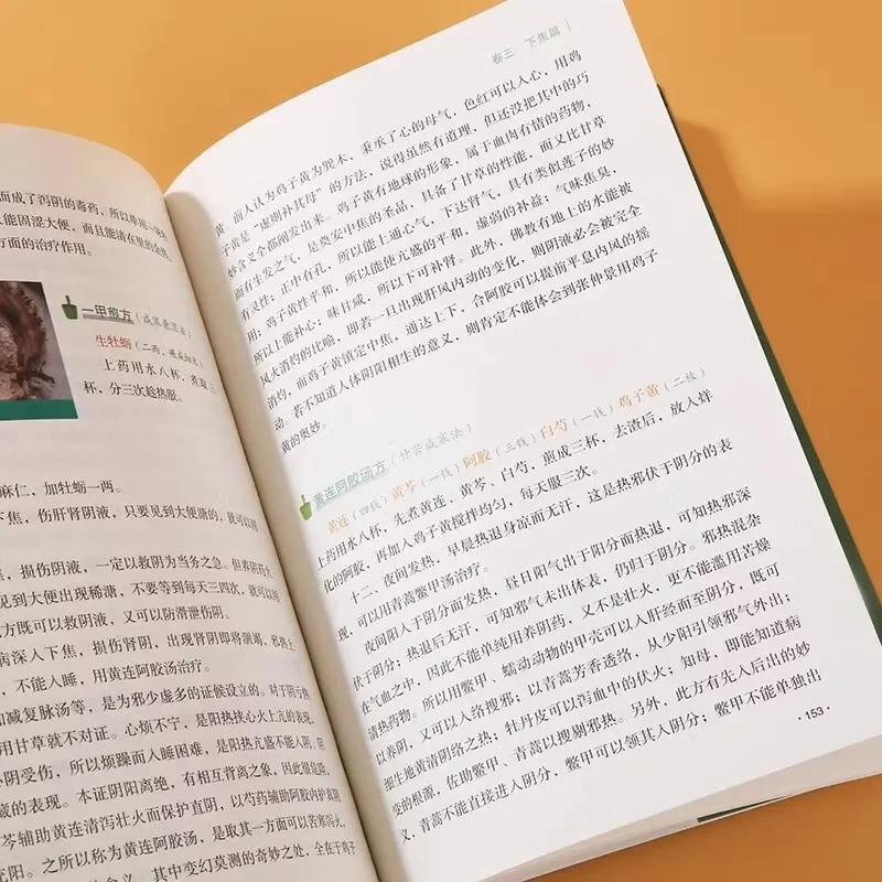Practical Guide to Wen Bing Tiao Bian: Plain English Explanations of TCM Basics, Herbal Remedies & Formula Preparation