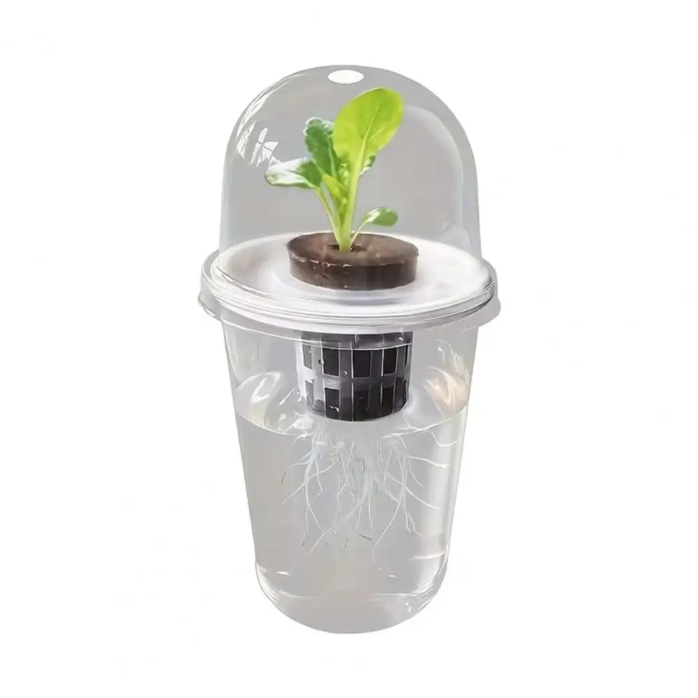 Hydroponic S Starter Reusable Hydroponic Planter Plant Propagation Station Hydroponic Planter Kit Transparent for Vegetables