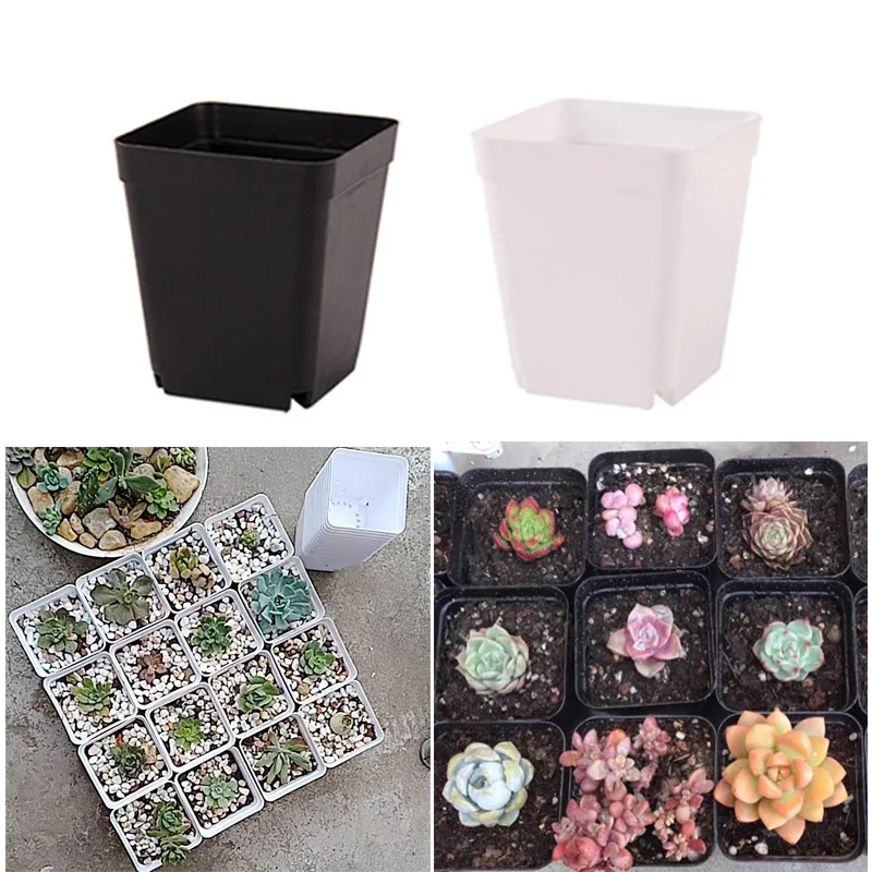 

10pcs Planter Pot Trays Mini Square Plastic Flower Pot Home Office Decor Succulent Plants Nursery Pot Green Garden Tools