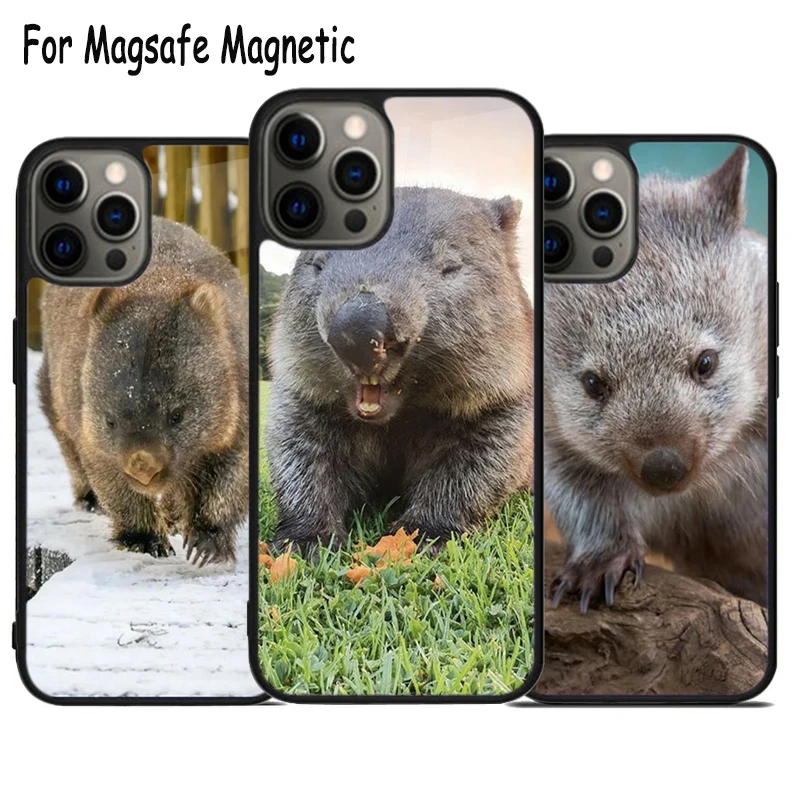 Wombat Wireless Charge Magsafe Phone Case For iPhone 15 16 14 13 11 12 Pro Max Plus Magnetic Bumper Cover