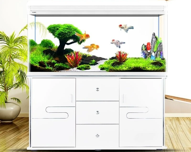 Aquarium small and medium-sized living room household goldfish tank glass free water replacement ecological goldfish tank