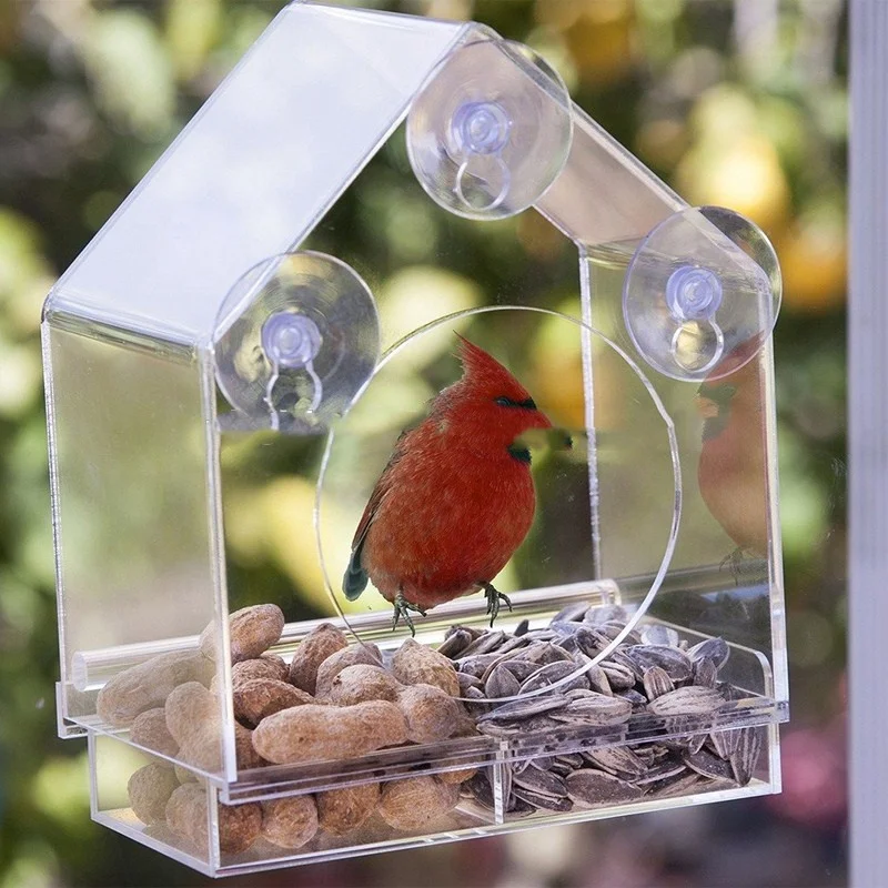 

OEM clear Acrylic Bird Nest Acrylic Birdcage
