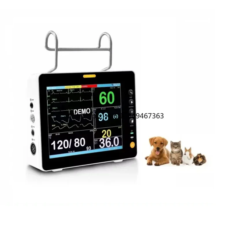 

High-End Veterinary Supervise for Pet Clinics and Vet Hospitals