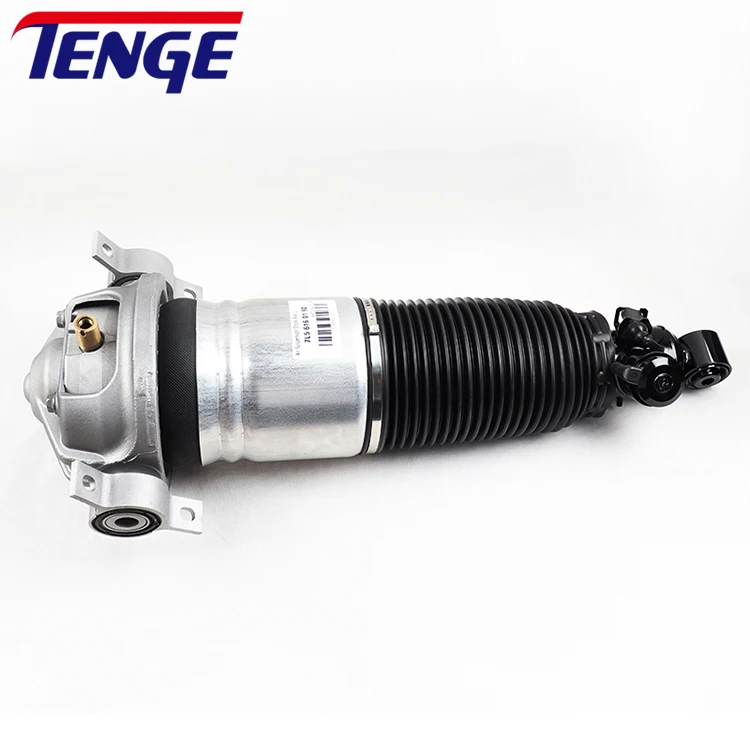 

7L5616019D 7L5616020D Rear Old Model Air Suspension Shock Absorber for Q7 Touareg 2005-2009