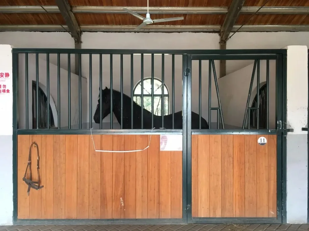 High Quality and Professional Customized Design Wooden or Steel Horse Stable Horse Stall Horse Box