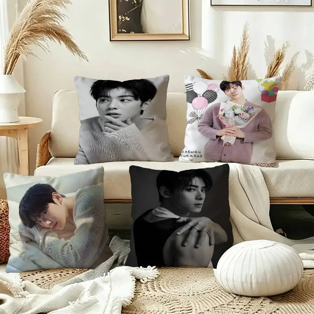 Popular Korean Actor Cha EunWoo Cushion Cover Pillow Cover Decor Pillowcase Printed Cushion Case for Couch