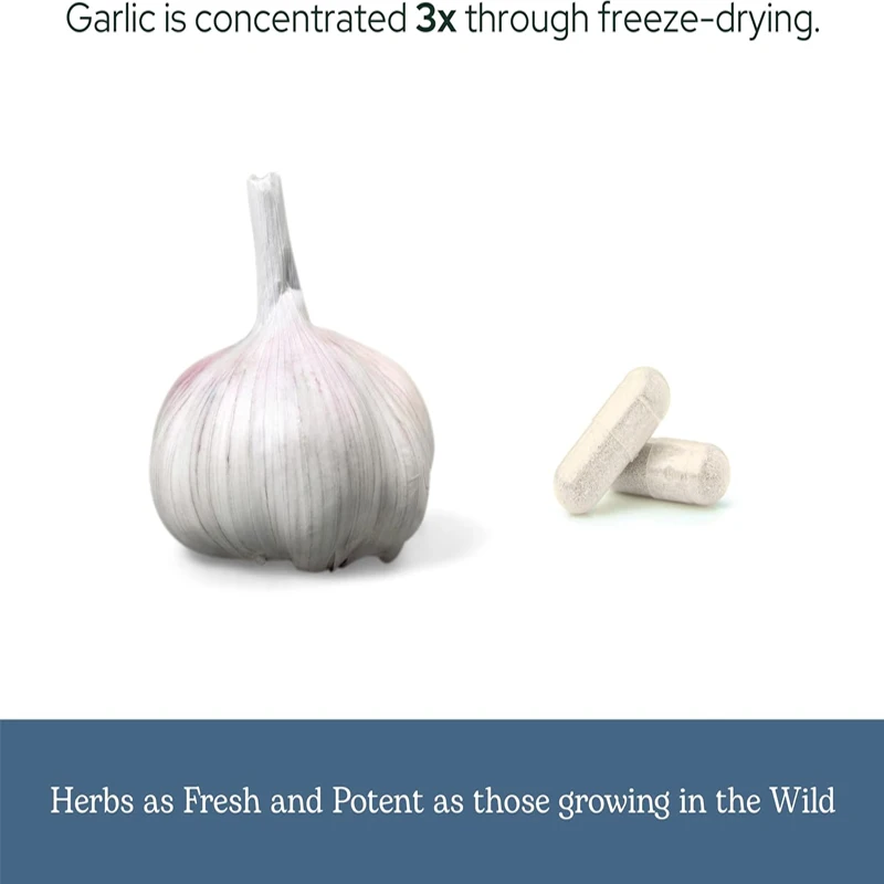 High Quality Freeze-dried Garlic Capsules, Immune Support, Natural, Non GMO, Vegetarian