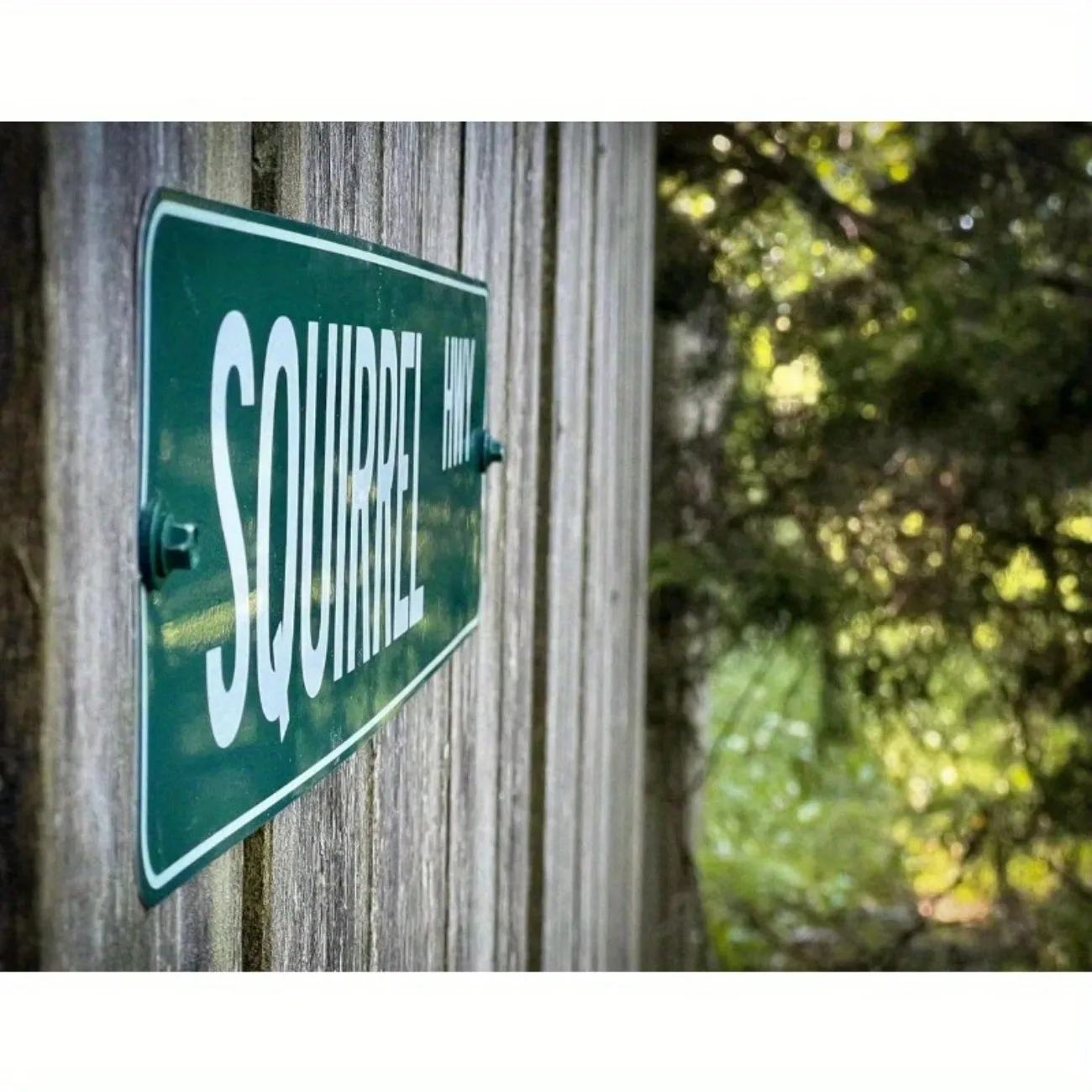 لافتة طريق خضراء مصنوعة حسب الطلب - علامة شارع مخصصة للعنونة/الاسم لديكور المنزل والمكتب، خيار هدية إبداعي.