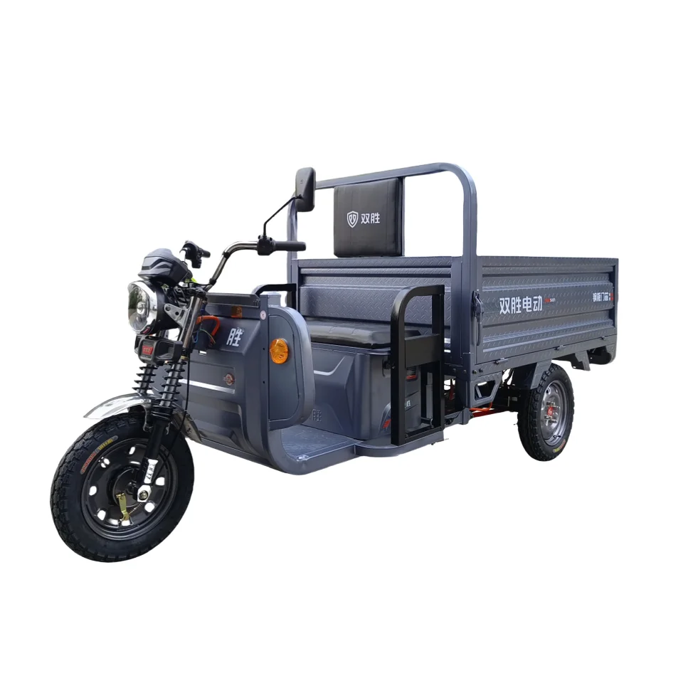 

Manufacturers Selling 1.6m Three-Wheeled Electric Tricycle For Adults Farm Transport 1000W Triciclo Electrico