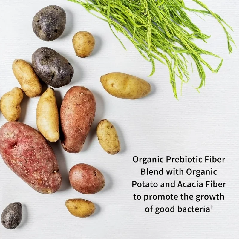 KLXVUYUN Probiotika für Damen, 50 Milliarden, garantiert probiotische transdermale Pflaster, 12 Zerbrechen, Glutenmilch- und Sojafrei