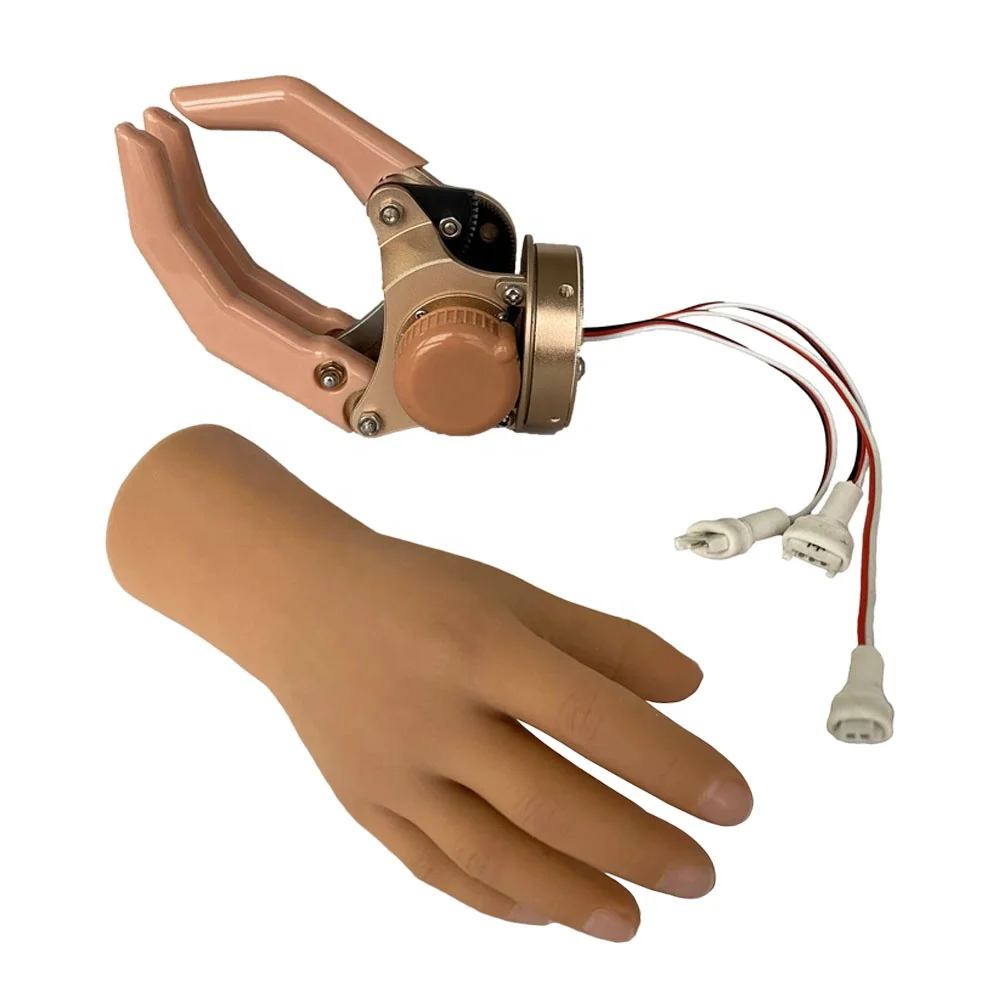 

Prosthetic Implants Artificial Limb Myoelectric Half Hand Wrist Rotation Prosthetic Hand