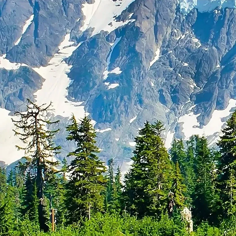 Papel de parede com estampa de neve e montanha, mural personalizado em 3d, paisagens naturais, sala de estar, sofá, quarto, plano de fundo de tv, decoração para casa