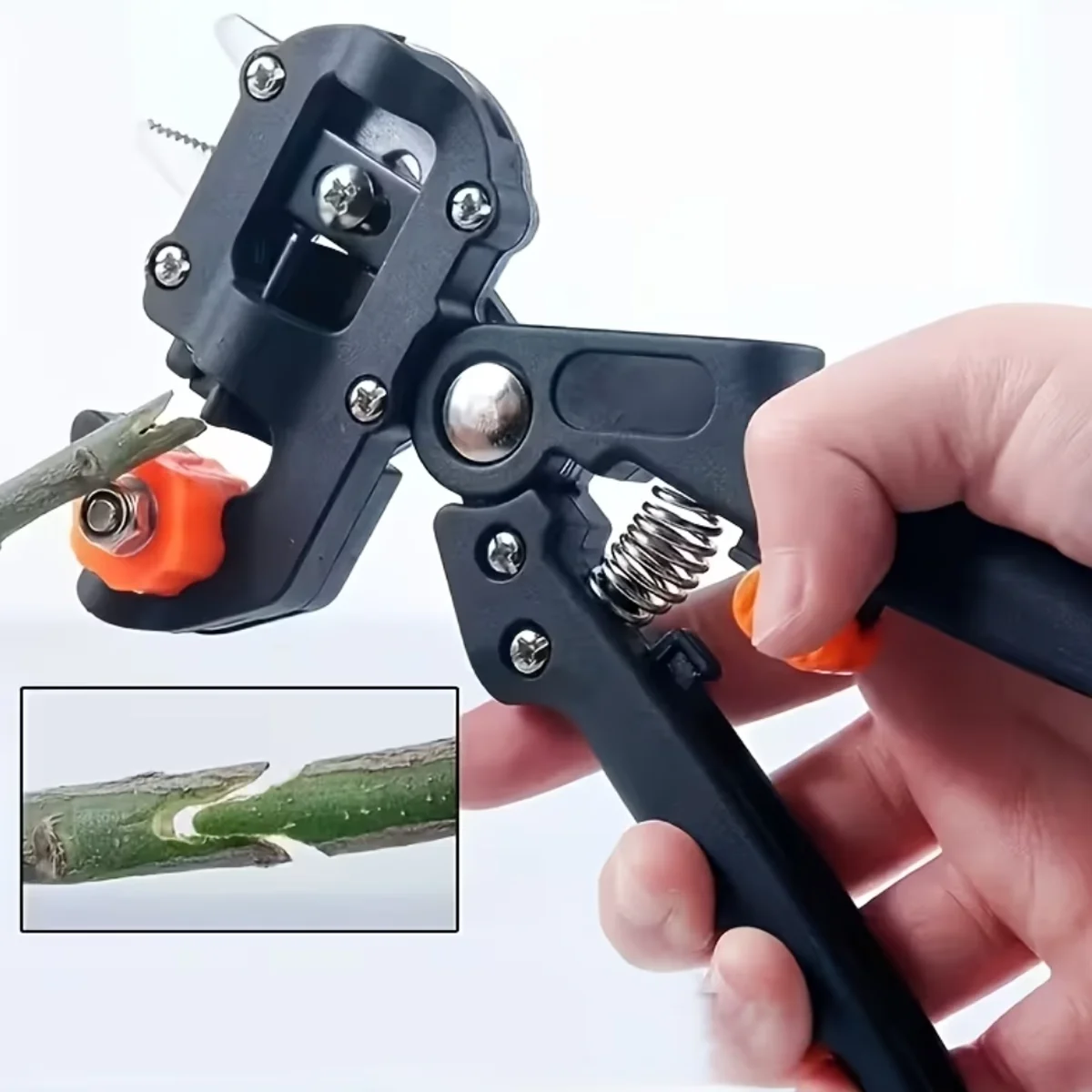 Image of Professionelle Veredelungs- und Beschneidungswerkzeuge, Veredelungsscheren für Obstbäume, 2-in-1 Astschere zum Schneiden und Veredeln.