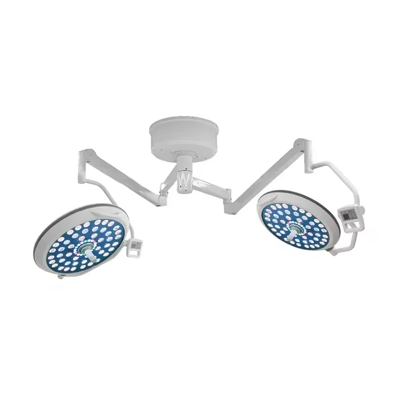 

LED 700/700 Surgical Room Veterinary Operating Room Light Shadowless Operating Lamp for Medical Equipment